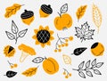 Set of Autumn harvest symbols in black and orange colors: fruits, leaves, vegetables, berries, acorns, mushrooms. Hand-drawn, sket Royalty Free Stock Photo